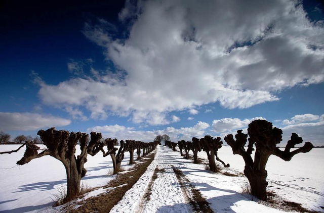 Bei Sonnenschein lsst sich der Winter...er in Kltz in Mecklenburg-Vorpommern.  | Foto: dpa