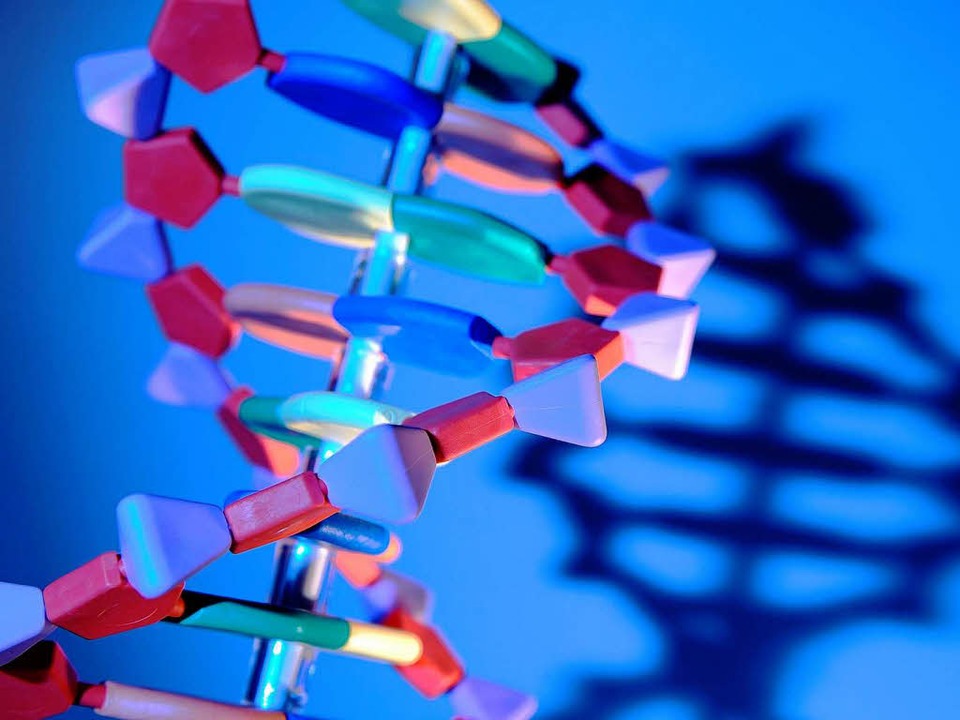 Das Modell einer DNA zeigt das Biomole...nun ein Vergewaltiger überführt wurde.  | Foto: Verwendung weltweit, usage worldwide