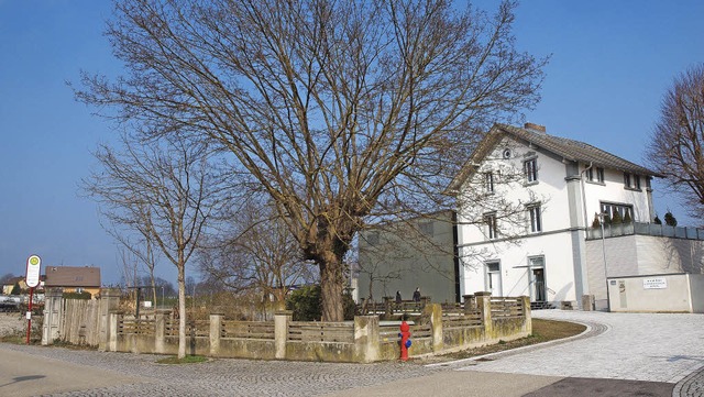 Der Bereich mit dem Ahornbaum  vor der...ffentlichen Platz umgestaltet werden.  | Foto: Haberer