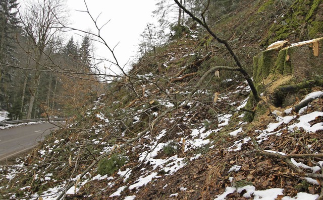 Wegen Baumfllarbeiten wurde die Lande...ke im Schlchttal aber frei befahrbar.  | Foto: Chris Seifried