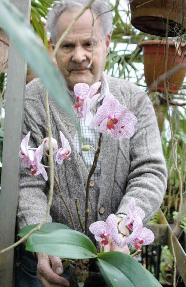 Eugen Meyer kennt sich in der Welt der Orchideen aus.   | Foto: Leony Stabla