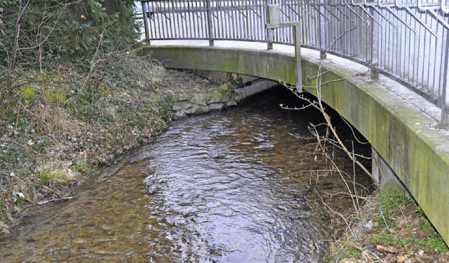Engpass: Der Durchfluss an der Vogtebr...Hochwasser Mehrkosten von 70000 Euro.   | Foto: Steckmeister