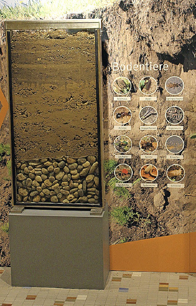 Ein vereinfachtes Modell des Bodens.   | Foto: Wollseifen (3)/IWB