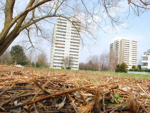 Wohnen am Wasser: Die Firma Stuckert w...nd dort einen knstlichen See anlegen.  | Foto: Ralf Staub