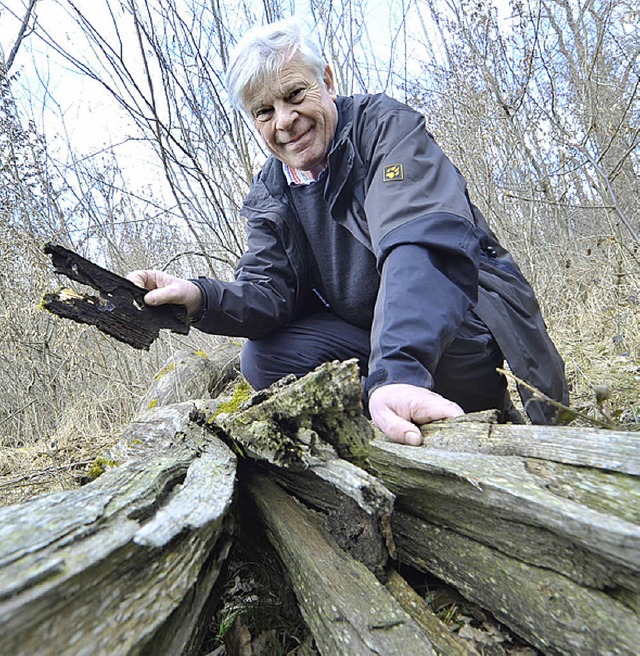 Frank Baum kennt sich mit Insekten aus &#8211; speziell im Mooswald.  | Foto: Bamberger