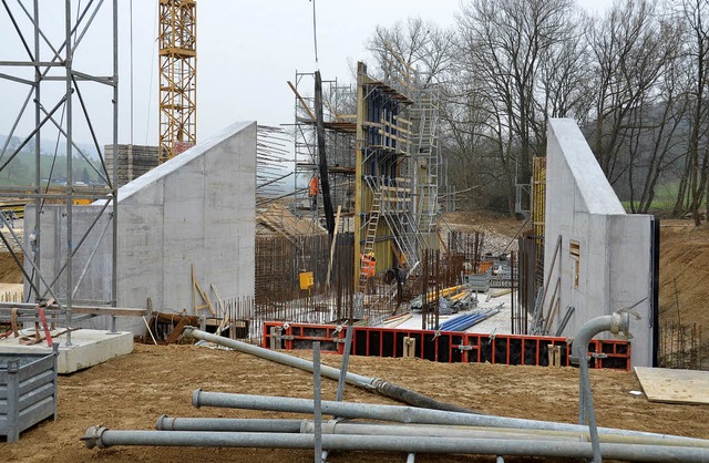 Hochwasserschutzprojekt Altinger Matten Schliengen  | Foto: Michael Behrendt