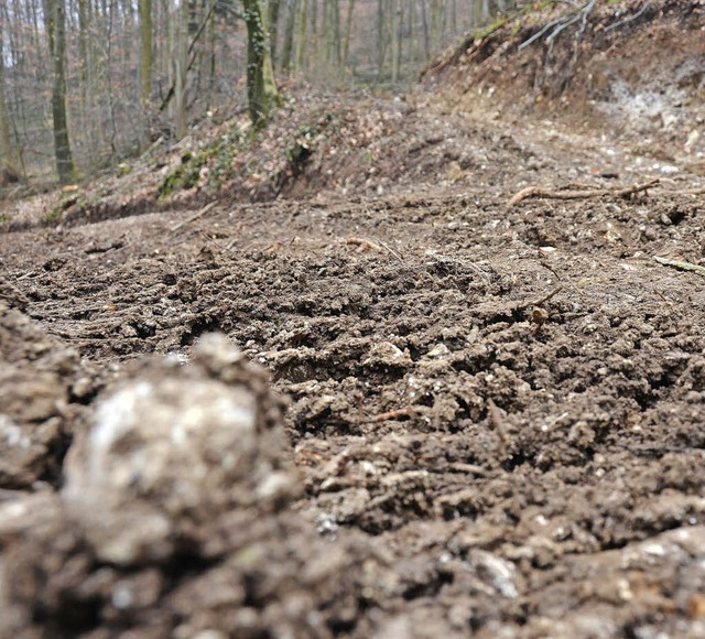 Tiefe Spuren in Wege und Waldboden hab...hdelberg gegraben. Es war sehr nass.   | Foto: Nikolaus Trenz
