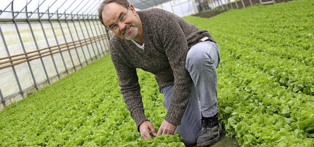 Nur langsam wchst der Salat an trben...nterher &#8211; trotz Gewchshusern.   | Foto: Eva Klassen