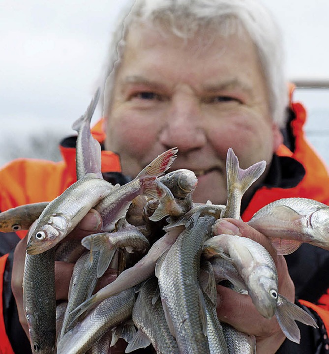 Fischer mit gefangenem Sting  | Foto: dpa