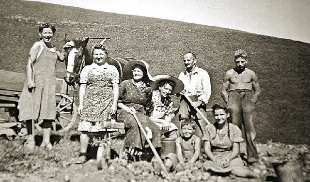 Fritz, der Knecht, und Hugo Zingg (vorne sitzend) bei der Kartoffelernte  | Foto: unbekannt