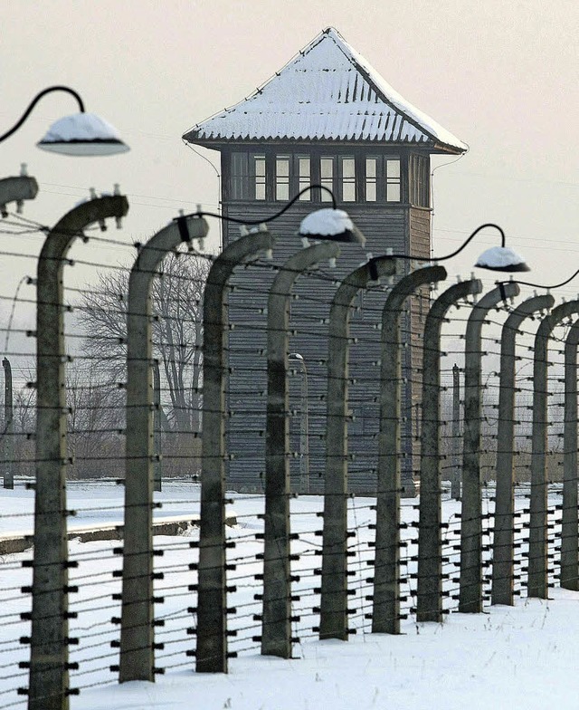 Wachturm des KZ Auschwitz-Birkenau  | Foto: DPA