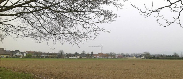 Das knftige Neuenburger Baugebiet Vog...le aus Richtung Steinenstadt gesehen.   | Foto: Jutta Schtz