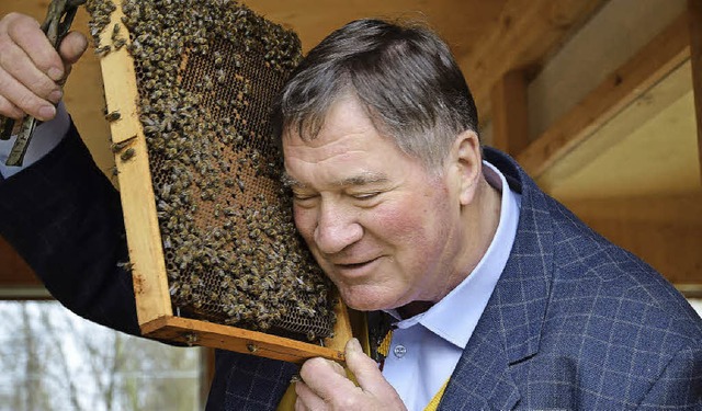 Der Prsident des Bienenzchterverband...el, Hans Stckli, schmust mit Bienen.   | Foto: Michael Reich