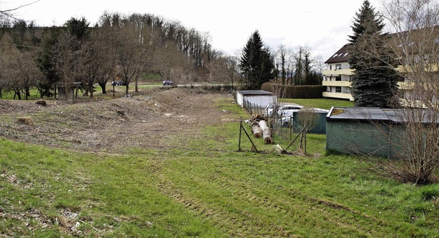 Auf diesem Areal sollen zwei dreigesch... entstehen. Die Anwohner wehren sich.   | Foto: Haberer