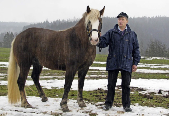 Im Regen stellte sich die schnste Stute dem Fotografen.   | Foto: M.  Rombach