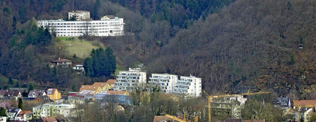Das Bruder-Klaus-Krankenhaus Waldkirch...e. Kostendeckend ist dies alles nicht.  | Foto: Sylvia Timm