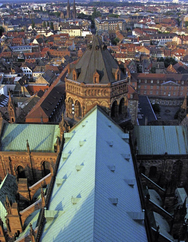 Blick auf Langhausdach, Vierungsturm und Querhaus des Straburger Mnsters   | Foto: fotolia.com/skimage