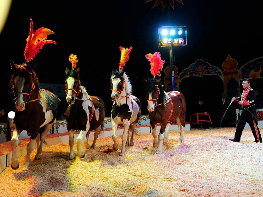 Der Circus Alberti ist in Freiburg zu Gast.