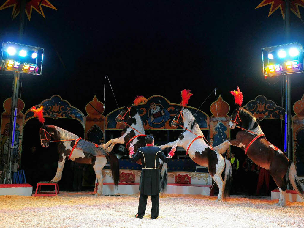 Der Circus Alberti ist in Freiburg zu Gast.