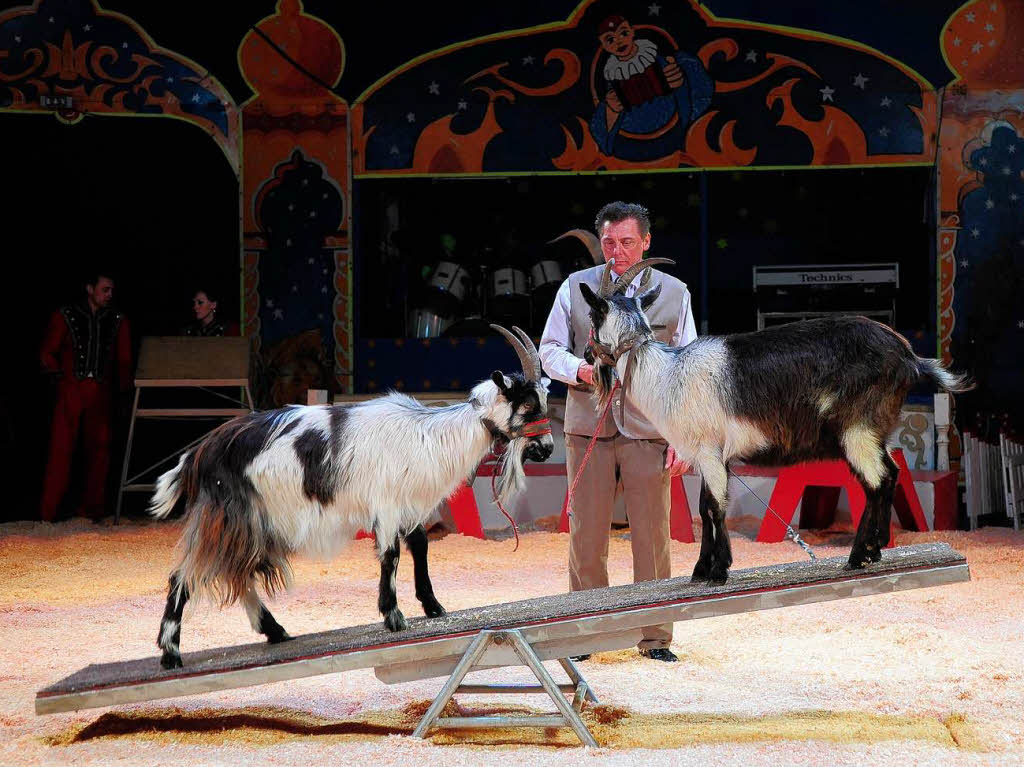 Der Circus Alberti ist in Freiburg zu Gast.