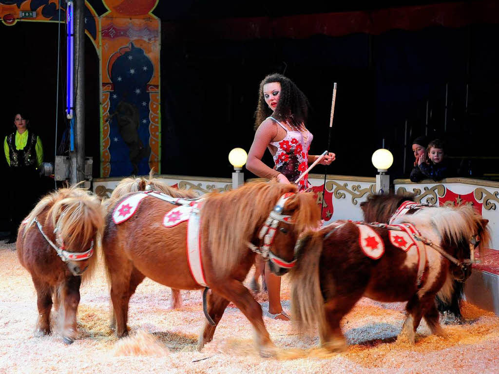 Der Circus Alberti ist in Freiburg zu Gast.