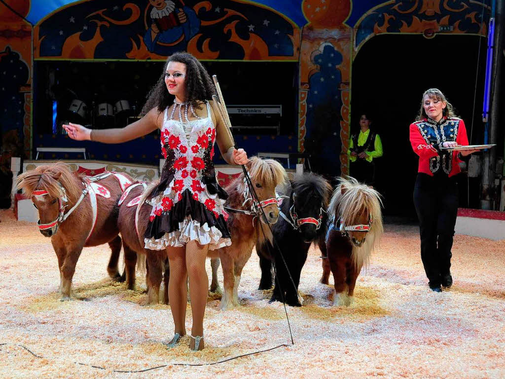 Der Circus Alberti ist in Freiburg zu Gast.