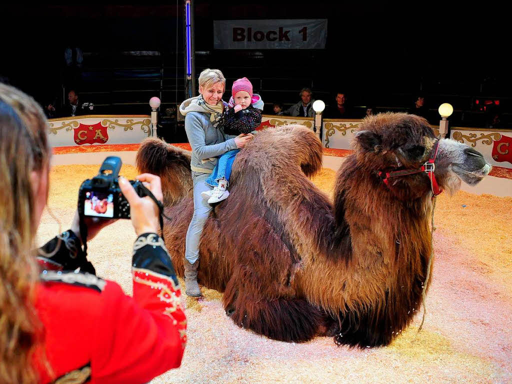 Der Circus Alberti ist in Freiburg zu Gast.