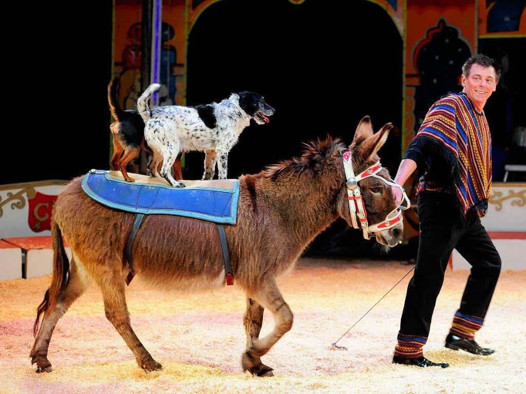 Der Circus Alberti ist in Freiburg zu Gast.