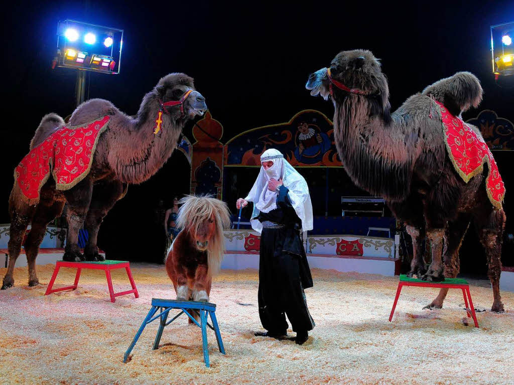 Der Circus Alberti ist in Freiburg zu Gast.