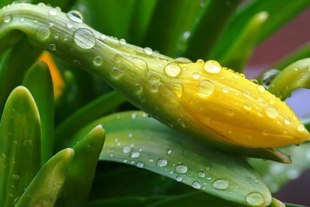 Gericht: Wette aufs Wetter ist kein Glcksspiel