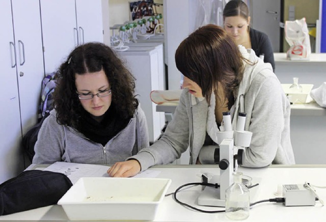 IBG-Schlerinnen arbeiten am Comenius-Projekt.  | Foto: BZ