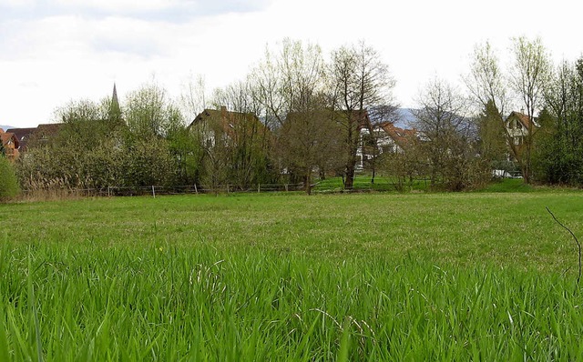 Im &#8222;Fenfgarten&#8220; soll ein koprojekt anlaufen.   | Foto: Roman Kiener