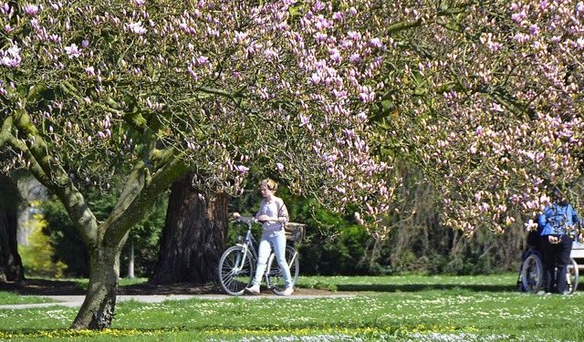 Auf eienn Schlag ist es Frhling im He...nd die Sonne lockt zum Spazierengehen.  | Foto: Ingrid Bhm-Jacob