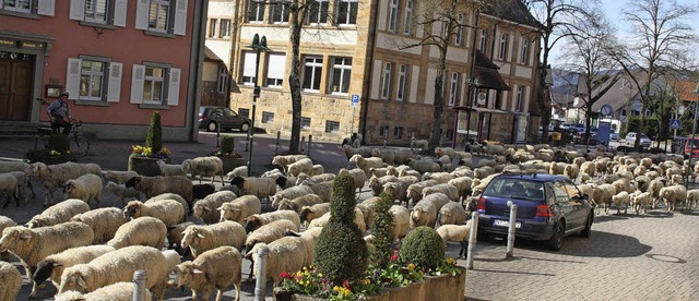 Schfchenzhlen konnten die flinger g...nur bei sich: &#8222;Mernschen.&#8220;  | Foto: Jrn Kerckhoff