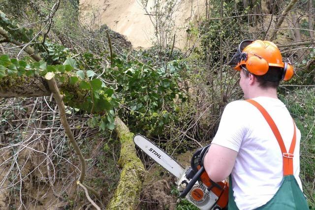 Tuniberg: Strae muss nach Erdrutsch gesperrt werden