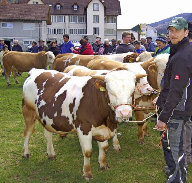 Dieses Prachtexemplar von Zchter Manf...vaten Abnehmer bei der Versteigerung.   | Foto: U. Jger