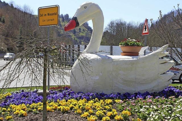 Schwan grt von der Insel