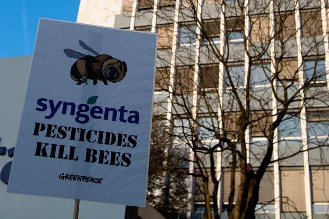 Bienensterben: Greenpeace attackiert Syngenta