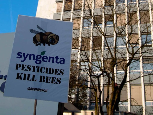 Greenpeace-Kletterer befestigten gerst...r am Hauptsitz von Syngenta in Basel.   | Foto: Henry Balaszeskul