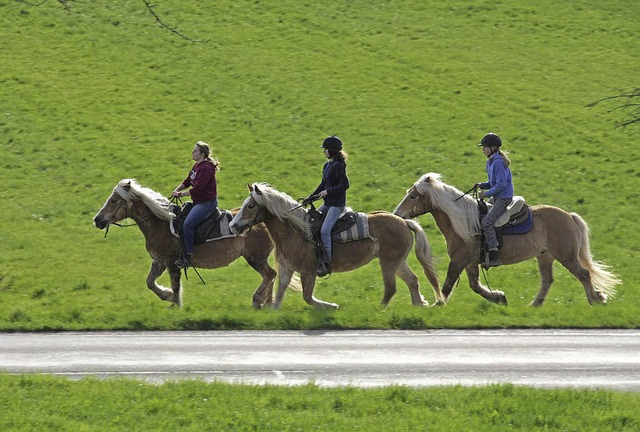   | Foto: Harald Kurz