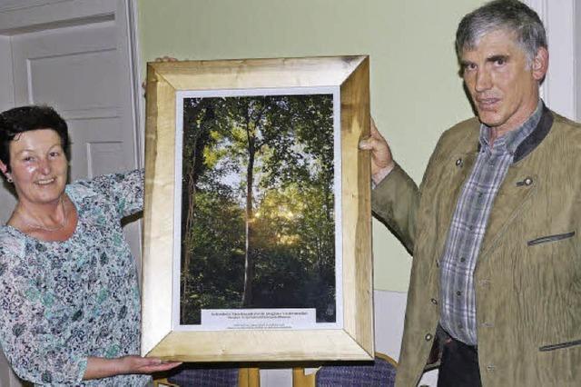 Botanische Raritt im Rtelwald