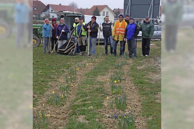 Einsatz fr Blumenschmuck