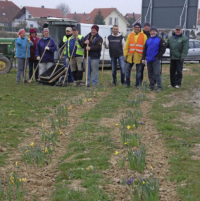 Eine Gruppe engagierter Brger sorgt d...Ortseinfahrt im Frhjahr schn blht.   | Foto: marion Domann