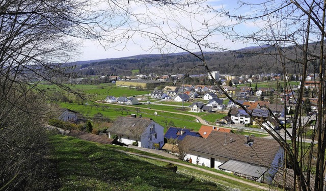 Licht und Schatten: Die  Anwohner der ... immer hher wachsenden  Bume kommt.   | Foto: Robert Bergmann/Privat