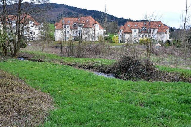 Gemeinderat stoppt nach 18 Jahren Wartezeit alle Zusagen fr Hasenburg-Plne