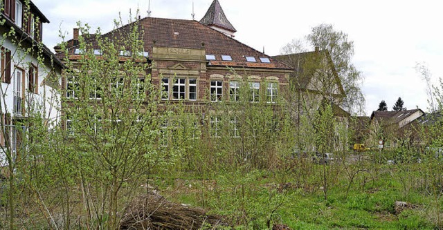 Die Baulcke gegenber der Grundschule...dem Ensembleschutz kollidieren wrde.   | Foto: HARTENSTEIN