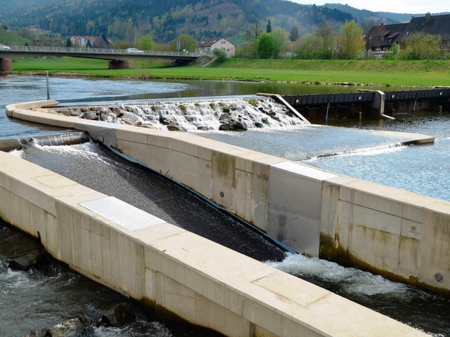 Die fischfreundliche Wasserkraftanlage Gengenbach  | Foto: Bhme Andreas