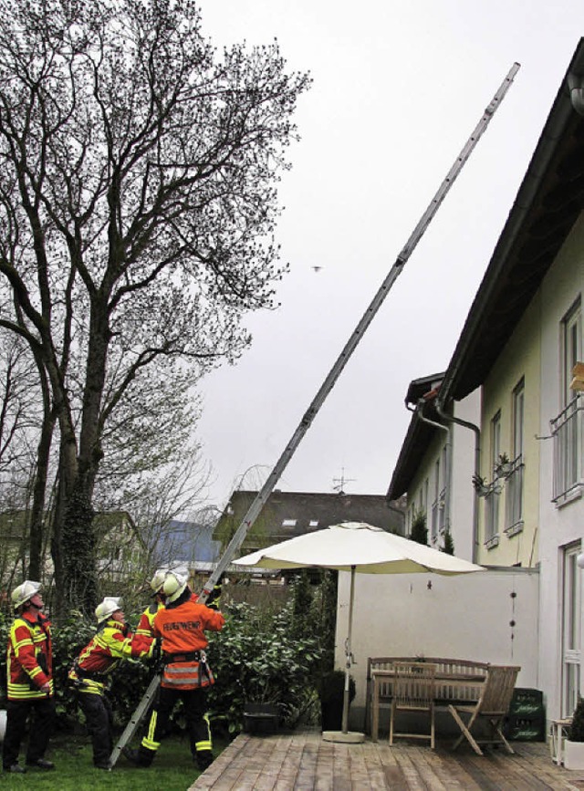 Hand in Hand arbeiteten Feuerwehr und ...end dem Roten Kreuz bergeben wurden.  | Foto: Monika Rombach