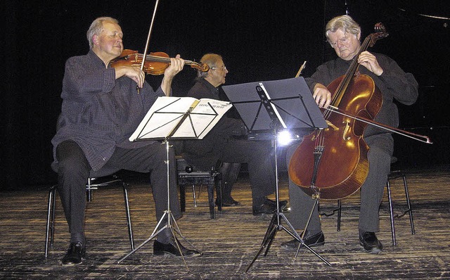 Treisam-Drio bei ihrem Konzert in Denzlingen  | Foto: Hildegard Karig