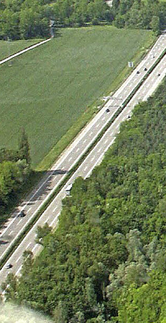 Begehrter Acker an der A 5: Die Gemeinde will ein Biotop daraus machen.  | Foto: lauber